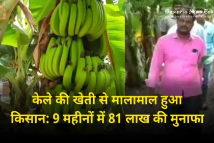 किसान प्रताप लेंडवे, business news in hindi, banana business plan, banana business in hindi, kele ka business kaise kare